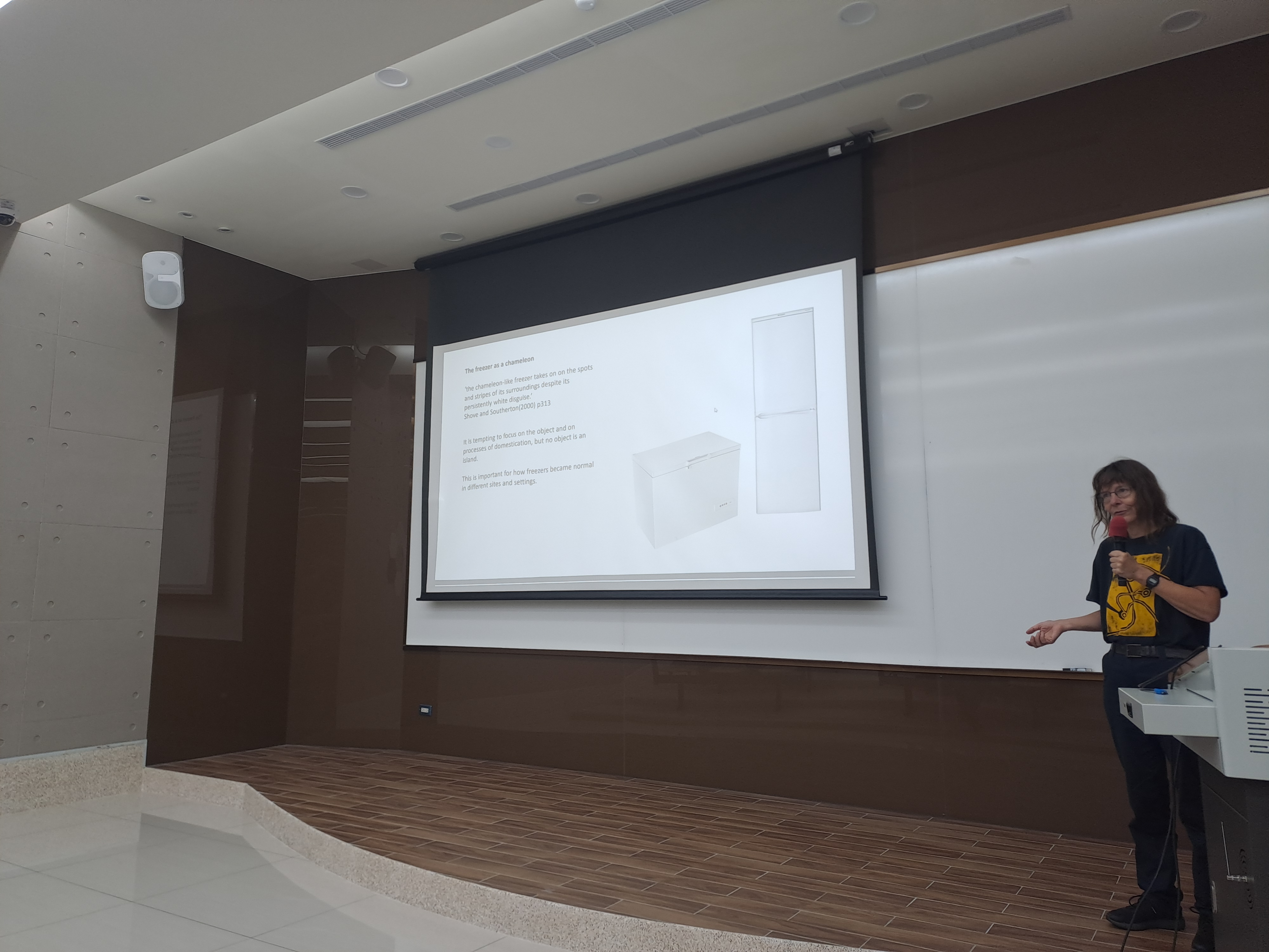 British Academy Fellow Elizabeth Shove: How Everyday Practices Shape Social Order